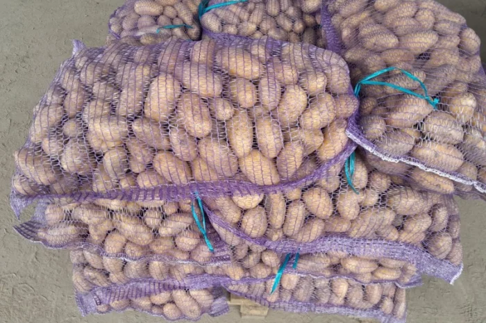 Продаж картоплі сорту Гранада урожаю 2025- фото № 1