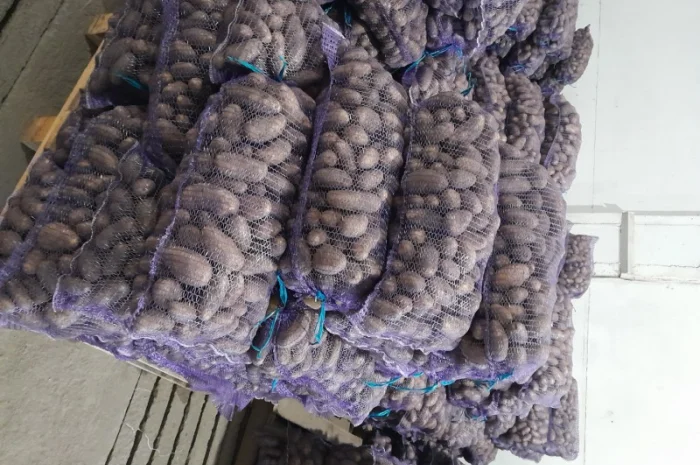 Продаж картоплі сорту Гранада урожаю 2025- фото № 11