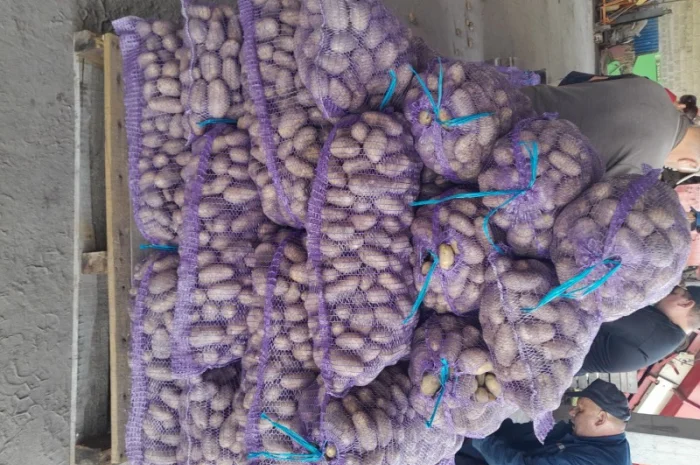 Куплю картоплю товарну сорт Гранада- фото № 5