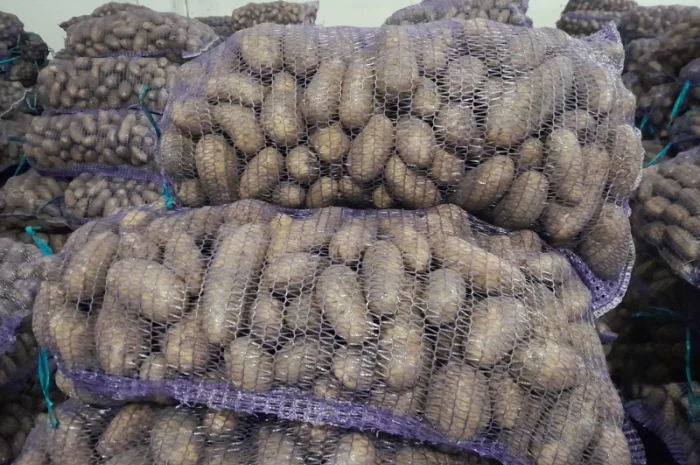 Куплю картоплю товарну сорт Гранада- фото № 6