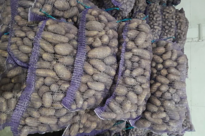 Куплю картоплю товарну сорт Гранада- фото № 7