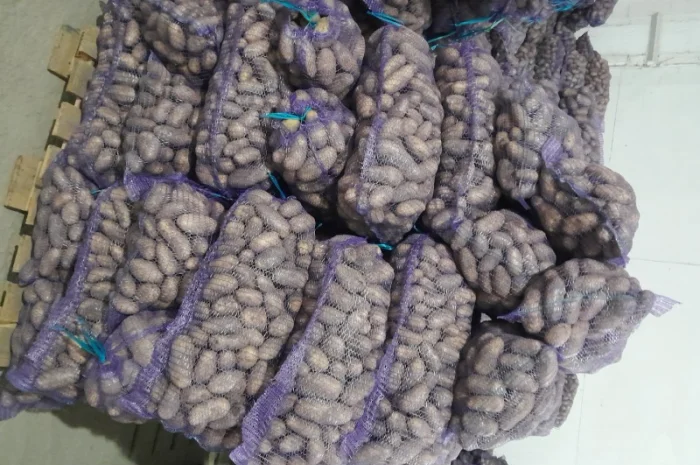 Куплю картоплю товарну сорт Гранада- фото № 9