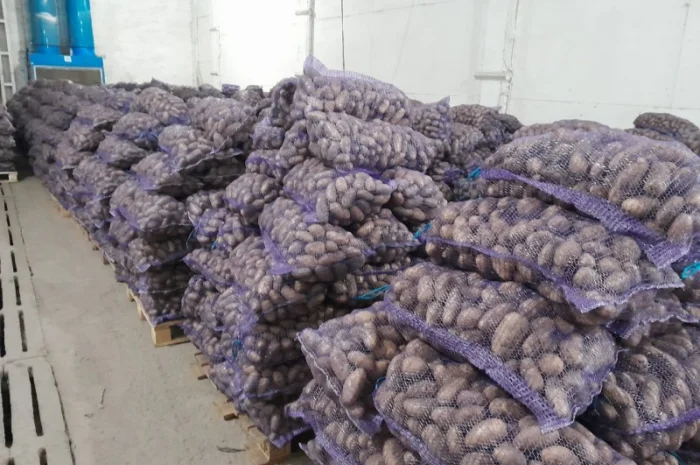 Куплю картоплю товарну сорт Гранада- фото № 10