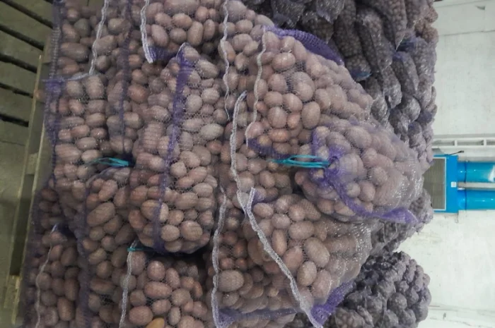 Куплю картоплю товарну сорт Гранада- фото № 2