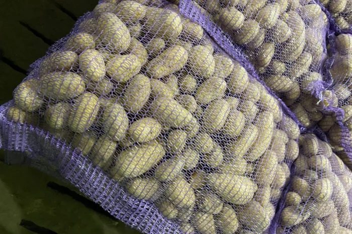 Продаж картоплі сорт Гранада- фото № 12