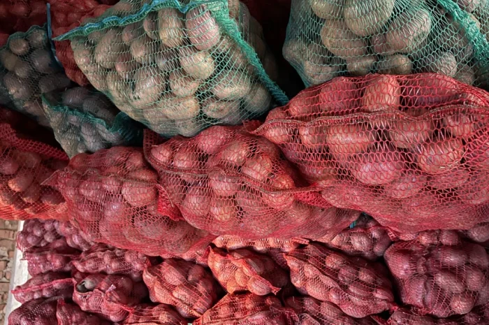 Продаж товарної картоплі оптом- фото № 1