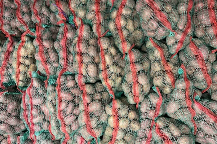 Продаж товарної картоплі оптом- фото № 2