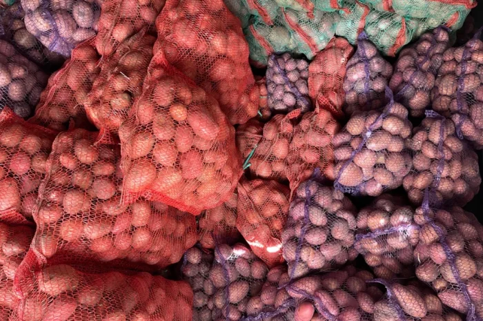 Продаж товарної картоплі оптом- фото № 3