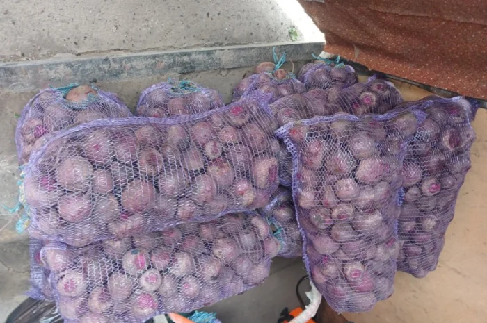 Продаж товарної картоплі Бела Роса та буряка Зеппо- фото № 7