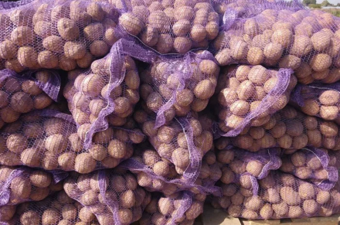 Куплю товарную картошку- фото № 2