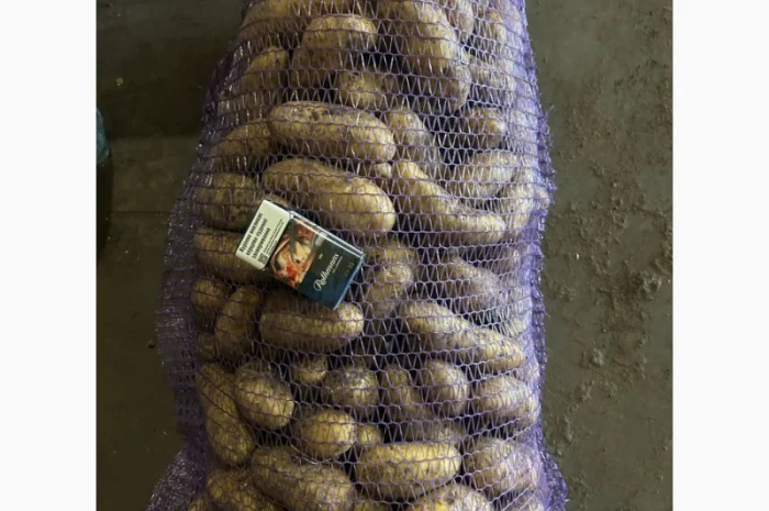 Пропоную якісний картофель гранада на продаж- фото № 1