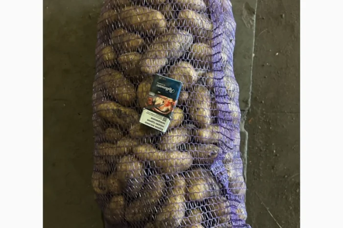 Пропоную якісний картофель гранада на продаж- фото № 2