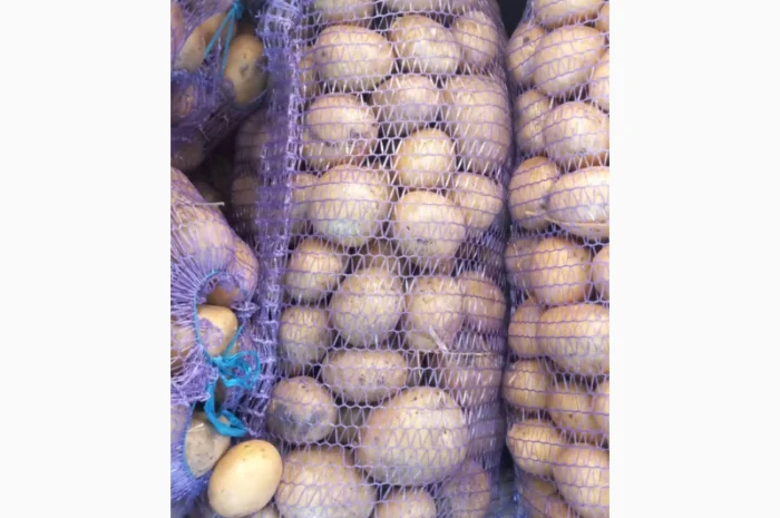 Куплю картоплю сорт Арізона- фото № 1