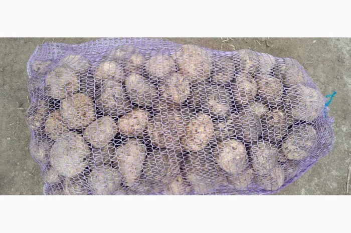 Продаж білої товарної картоплі оптом- фото № 1