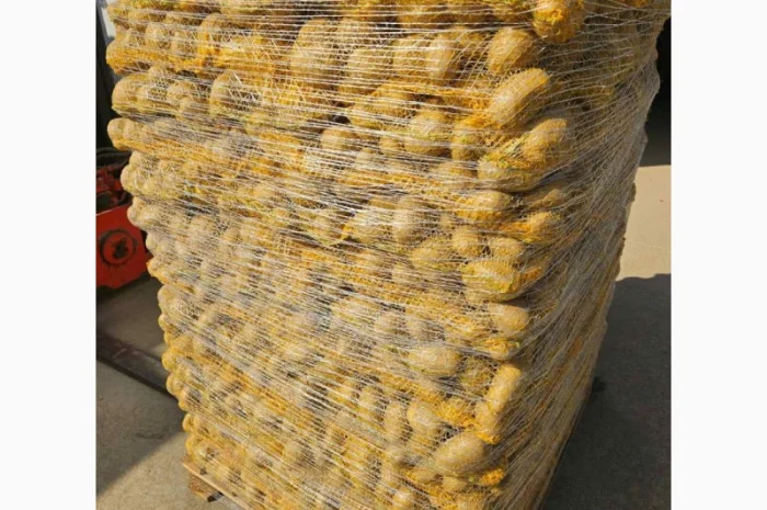 Продаж картоплі різних сортів- фото № 2