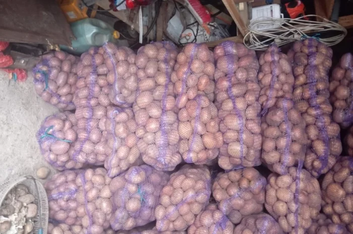 Куплю картоплю від 20 тонн- фото № 7