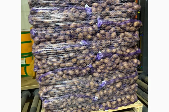 Куплю картофель товарный из Польши- фото № 1