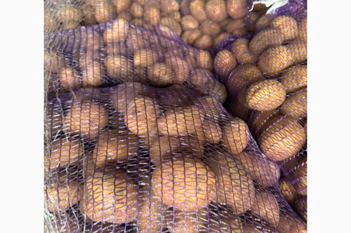 Куплю картофель товарный из Польши- фото № 2