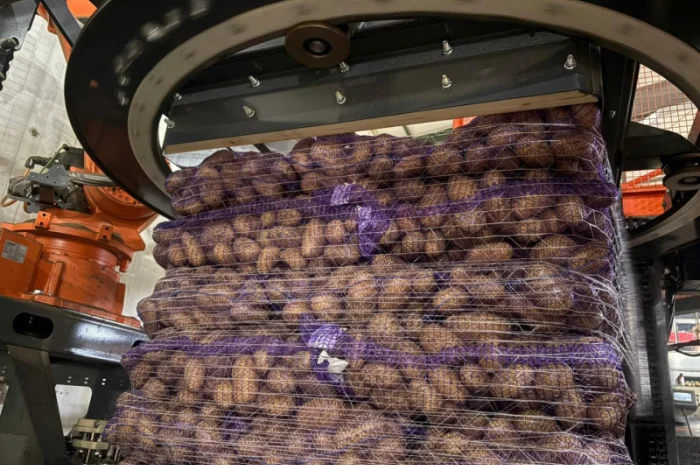 Куплю картофель товарный из Польши- фото № 3