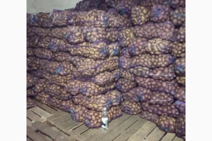 Продаю картошку с доставкой- фото № 2