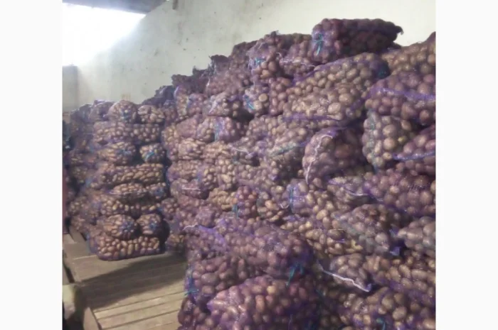 Продаю картошку с доставкой- фото № 3