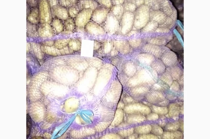 Продаю картошку с доставкой- фото № 4