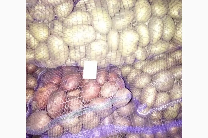 Продаю картошку с доставкой- фото № 5