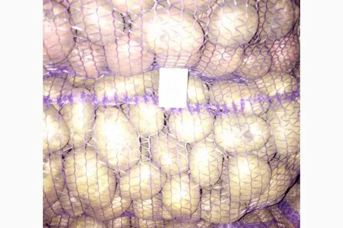 Продаю картошку с доставкой- фото № 6