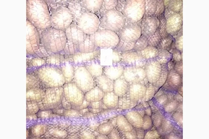 Продаю картошку с доставкой- фото № 7