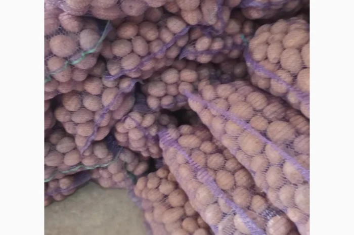 Продаж картоплі різних сортів високої якості- фото № 2