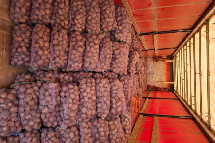 Картопля від населення оптом- фото № 1