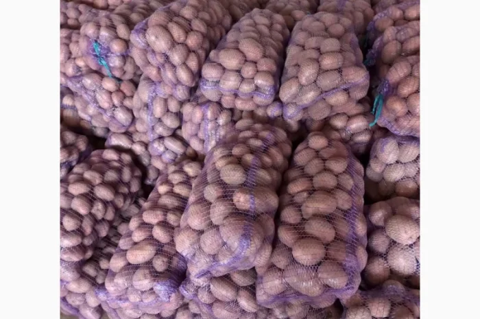 Куплю товарную картошку- фото № 1