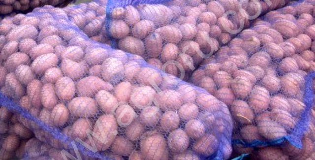 Продаж домашньої картоплі різних сортів- фото № 1