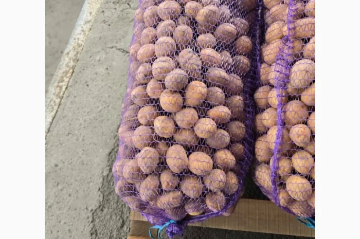 Продаж дрібної картоплі Арізона- фото № 1