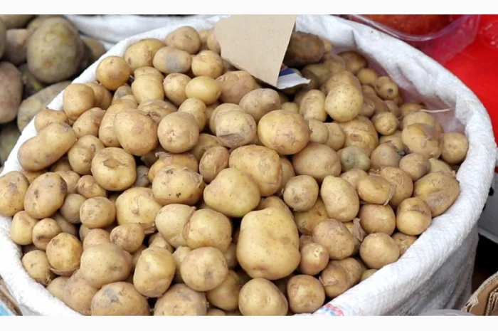 Молода картопля з Азербайджану гуртом від 10 тонн- фото № 1