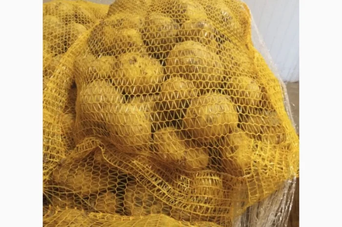 Продаж картоплі з Польщі- фото № 3