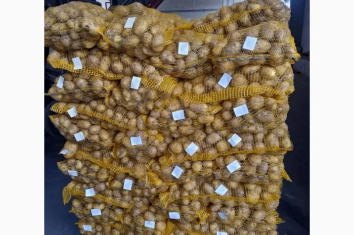 Продаж картоплі з Польщі- фото № 4