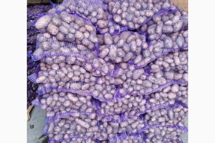 Продаж картоплі з Польщі- фото № 6