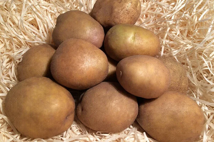 Закупівля картоплі оптом у Києві- фото № 1