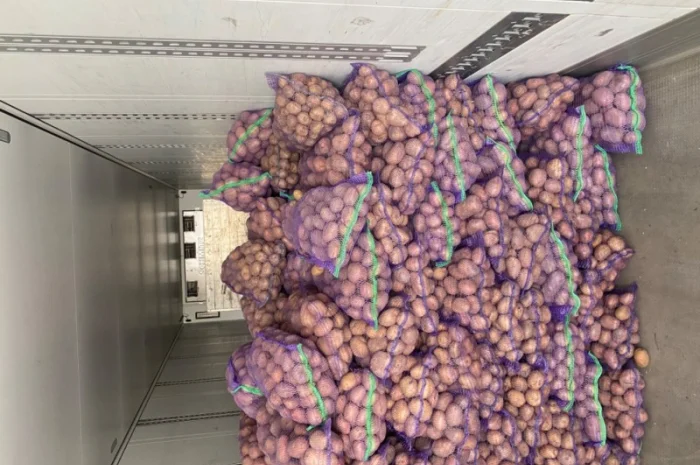 Продаж товарної картоплі з швидкою завантаженням- фото № 1