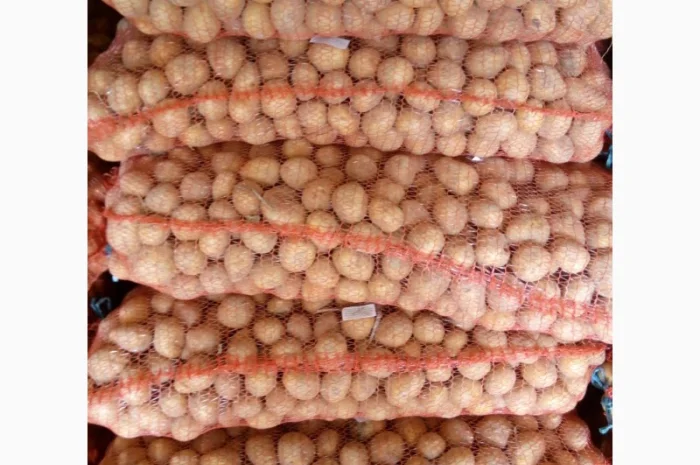 Продаю картошку семенную- фото № 1