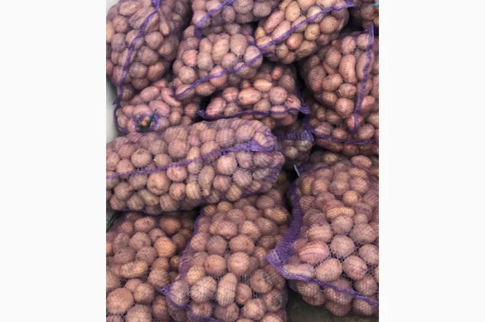 Купую товарну картоплю від 4 до 23 тон- фото № 1