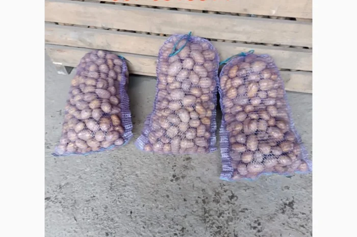 Продажа картофеля столового, фасованного в сетку- фото № 2