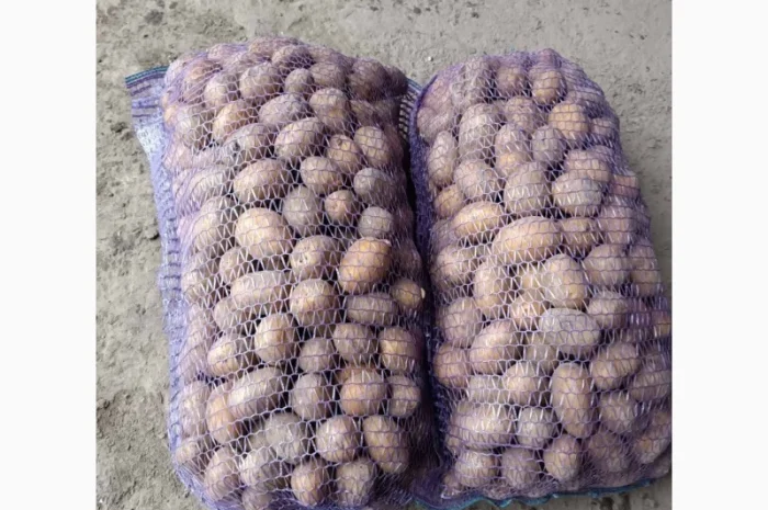 Продажа картофеля столового, фасованного в сетку- фото № 3