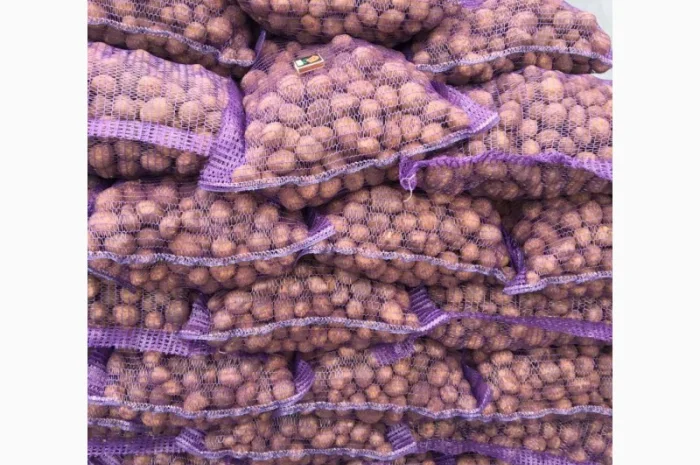 Продаж Насіння Арізона без хвороб- фото № 4