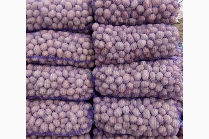 Продаж насіннєвої картоплі різних сортів- фото № 1
