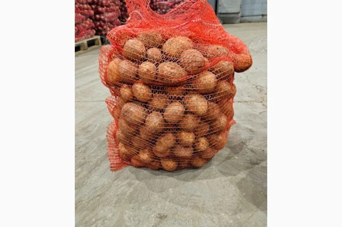 Продаж товарної картоплі 45+ (Гала)- фото № 2