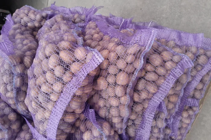 Продажа картофеля сорт Коломбо и Ред Леди- фото № 15