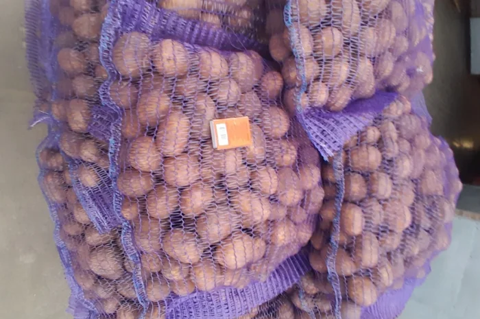 Куплю картоплю сорт Коломбо і Ред Леді- фото № 4