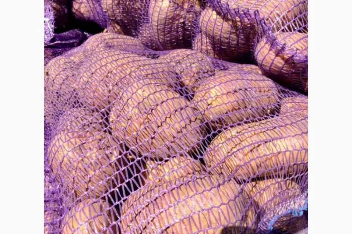 Продаж картоплі 2 сорту в Дніпрі- фото № 1